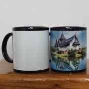 最新產(chǎn)品